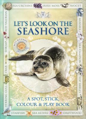 Book cover for Let's Look on the Seashore