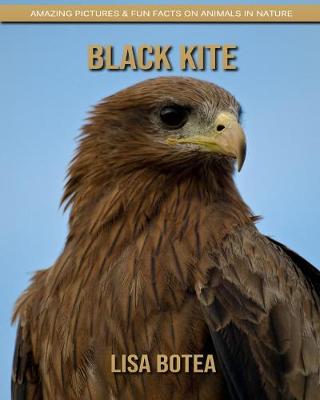 Book cover for Black Kite
