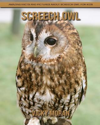 Book cover for Screech Owl