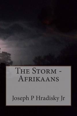 Book cover for The Storm - Afrikaans