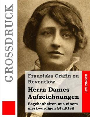 Book cover for Herrn Dames Aufzeichnungen (Grossdruck)
