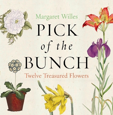 Book cover for Pick of the Bunch