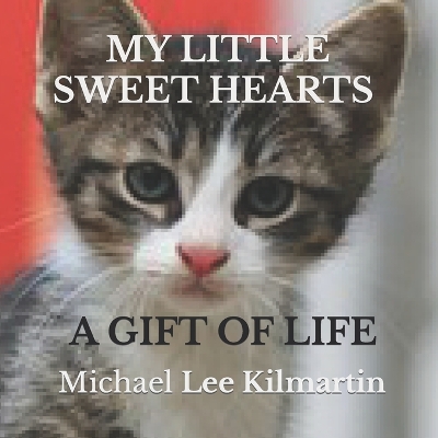 Cover of My Little Sweethearts Adventures