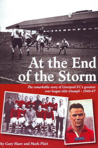 Cover of At the End of the Storm