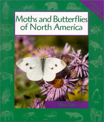 Book cover for Moths and Butterflies of North America