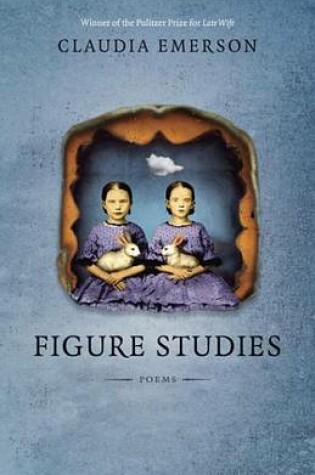 Cover of Figure Studies