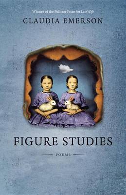 Book cover for Figure Studies