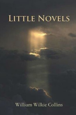 Cover of Little Novels (Annotated)