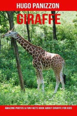 Cover of Giraffe