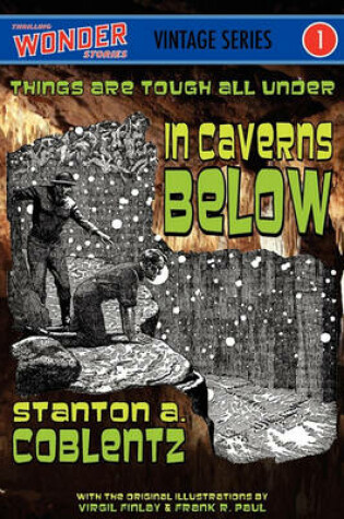 Cover of In Caverns Below