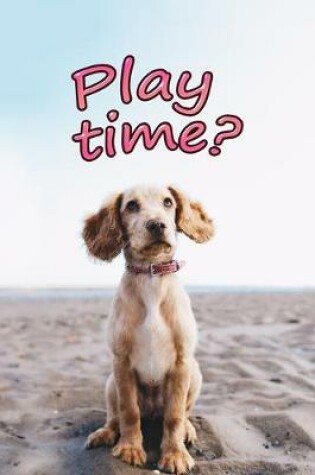Cover of Play time?
