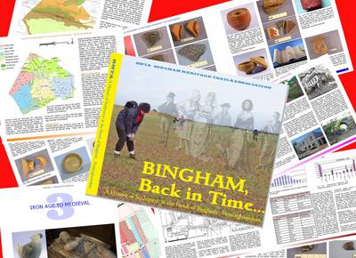 Book cover for Bingham Back in Time