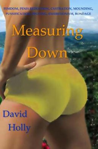 Cover of Measuring Down