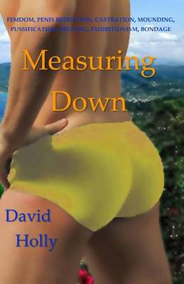 Book cover for Measuring Down
