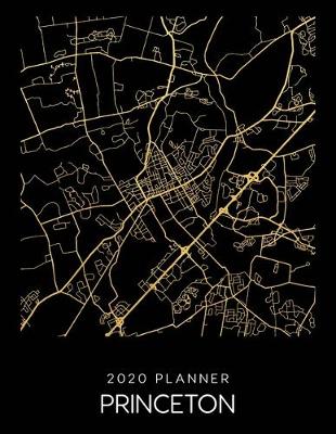 Book cover for 2020 Planner Princeton