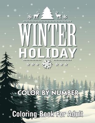 Book cover for Winter Holiday Color By Number Coloring Book For Adult