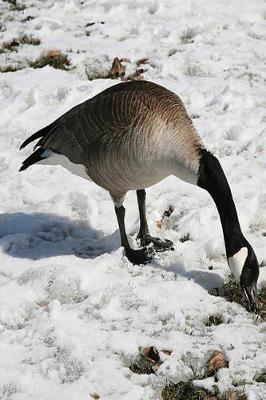 Book cover for Journal Snow Goose