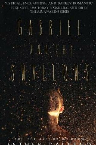 Cover of Gabriel and the Swallows