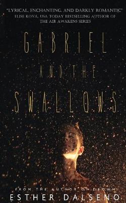 Book cover for Gabriel and the Swallows
