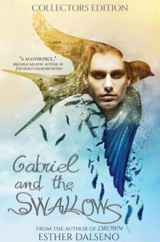 Cover of Gabriel and the Swallows