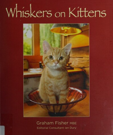 Book cover for Whiskers on Kittens