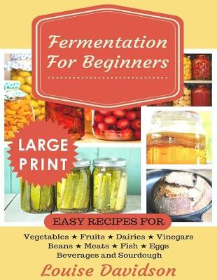 Book cover for Fermentation for Beginners ***Large Print Edition***