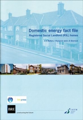 Book cover for Domestic Energy Fact File