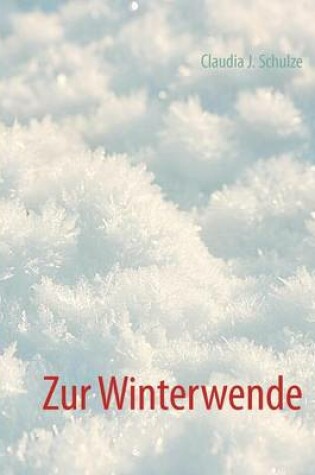 Cover of Winterwende