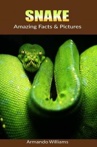 Cover of Snake