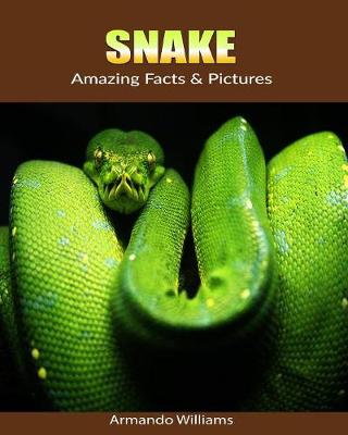 Book cover for Snake