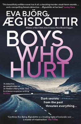 Book cover for Boys Who Hurt