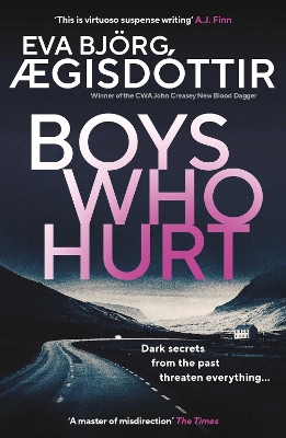 Cover of Boys Who Hurt