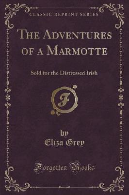 Book cover for The Adventures of a Marmotte