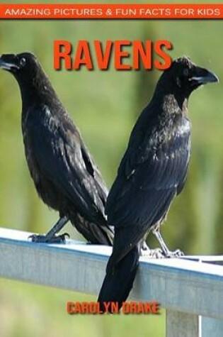 Cover of Ravens