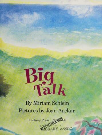 Book cover for Big Talk