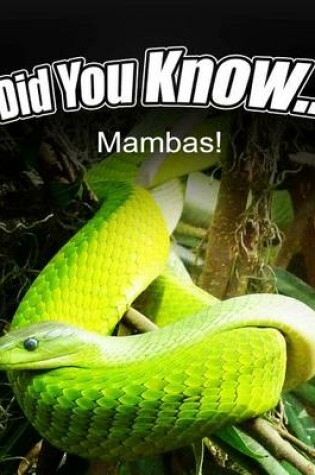 Cover of Mambas