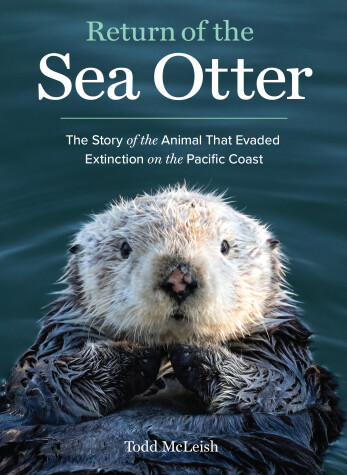 Book cover for Return of the Sea Otter