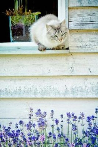 Cover of Cat in a Cottage Window Journal