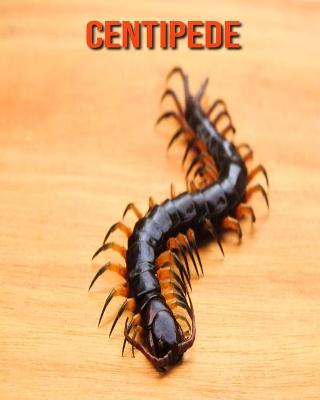 Book cover for Centipede