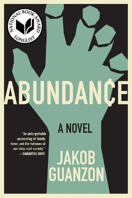 Book cover for Abundance