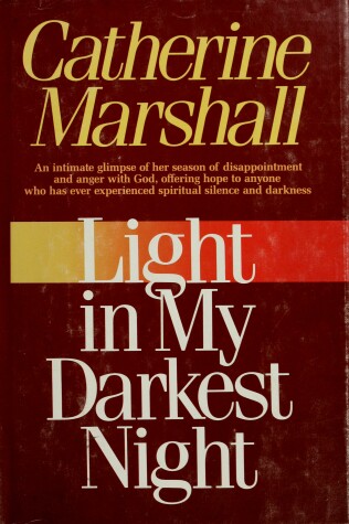 Book cover for Light in My Darkest Night