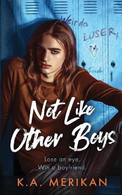 Book cover for Not Like Other Boys