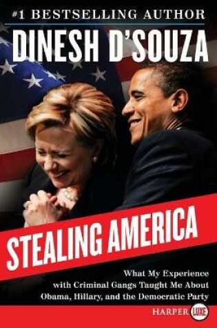 Cover of Stealing America LP