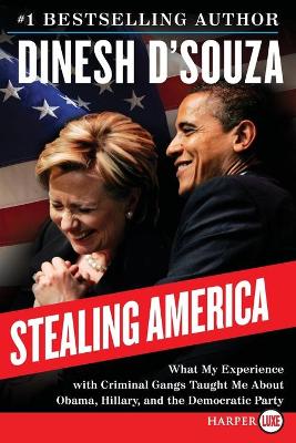 Book cover for Stealing America LP