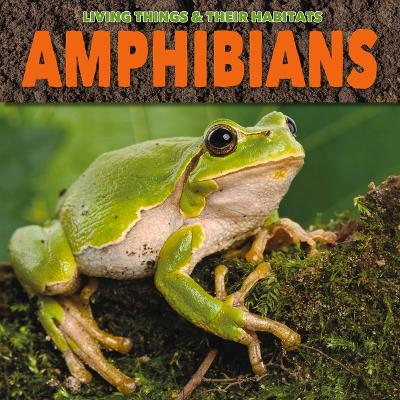 Book cover for Amphibians