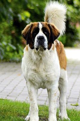 Book cover for St Bernard Notebook