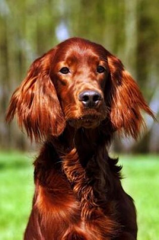 Cover of Cute Irish Setter Dog Journal