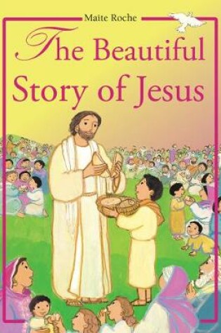 Cover of Beautiful Story of Jesus