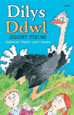 Book cover for Cyfres yr Hebog: Dilys Ddwl