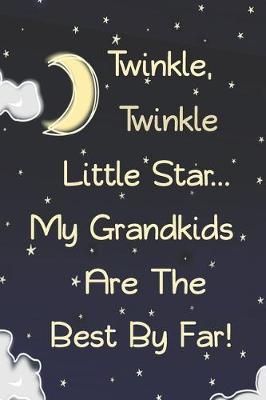 Book cover for Twinkle, Twinkle Little Star...My Grandkids Are The Best By Far!